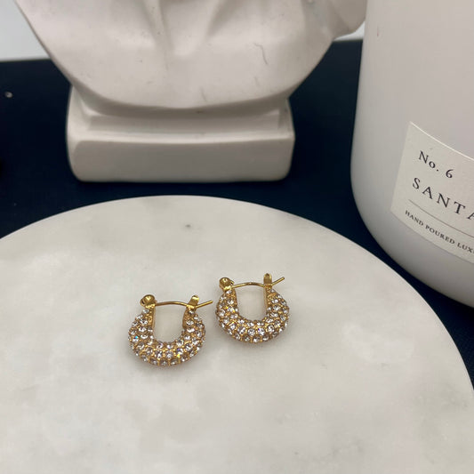 Camille Hoops
